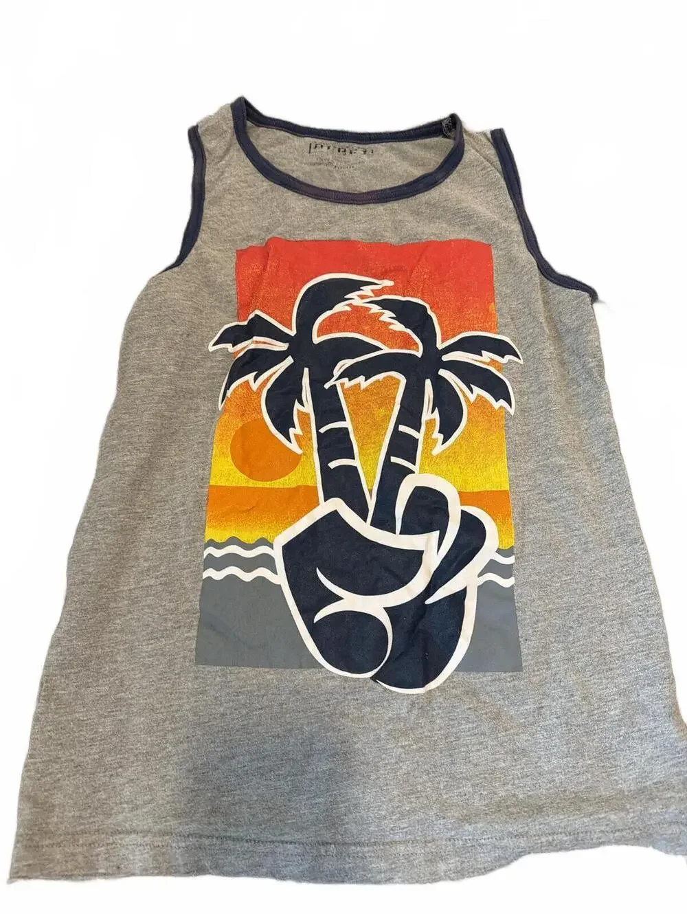 Boys Large Lot of 2 Graphic Tees L Boys Tank & T-Shirt Summer